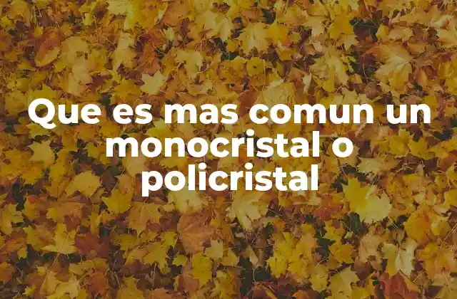 Que es mas Comun un Monocristal o Policristal