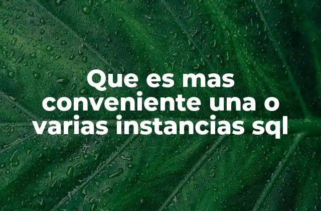 Que es mas Conveniente una o Varias Instancias Sql