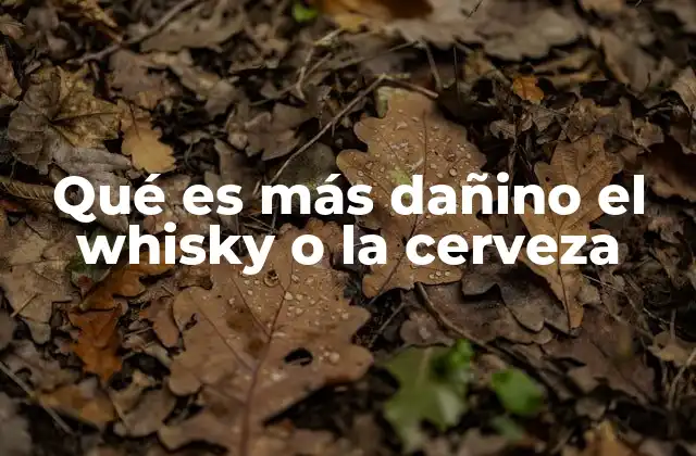 Qué es Más Dañino el Whisky o la Cerveza