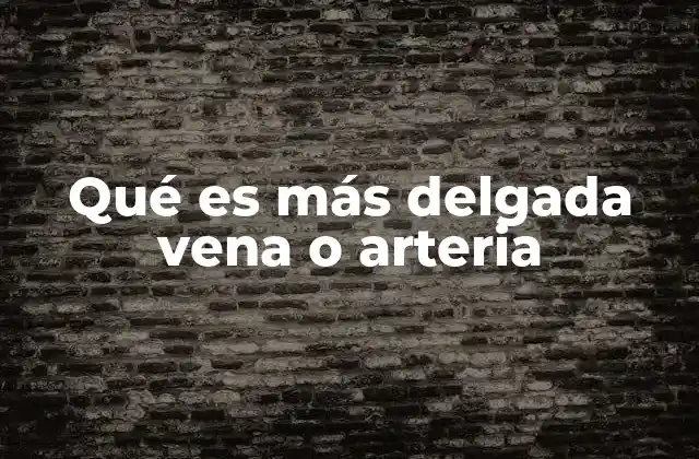 Qué es Más Delgada Vena o Arteria