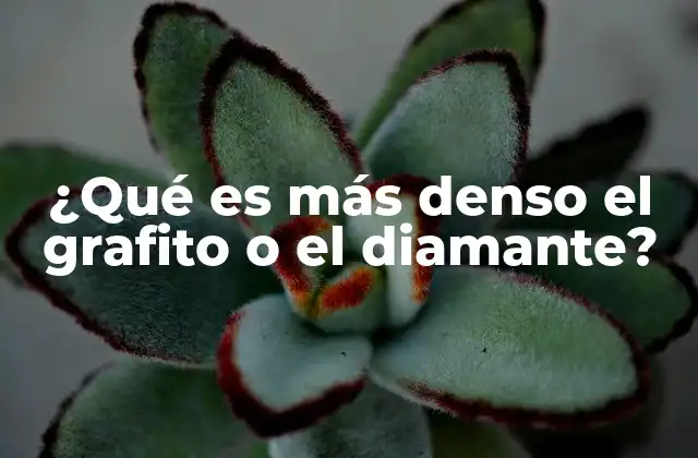 ¿Por qué la estructura molecular afecta tanto la densidad?