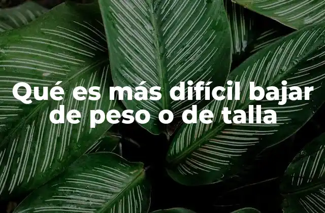 Qué es Más Difícil Bajar de Peso o de Talla