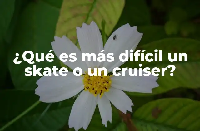 ¿qué es Más Difícil un Skate o un Cruiser?