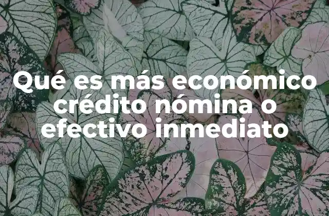 Qué es Más Económico Crédito Nómina o Efectivo Inmediato