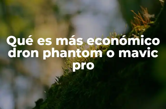 Qué es Más Económico Dron Phantom o Mavic Pro