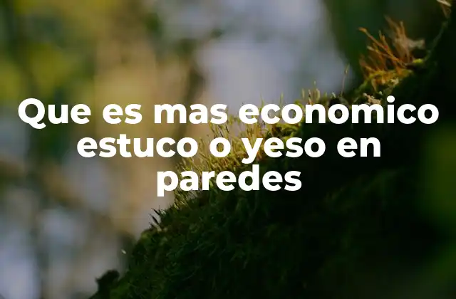 Que es mas Economico Estuco o Yeso en Paredes