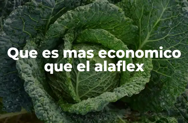 Que es mas Economico que el Alaflex