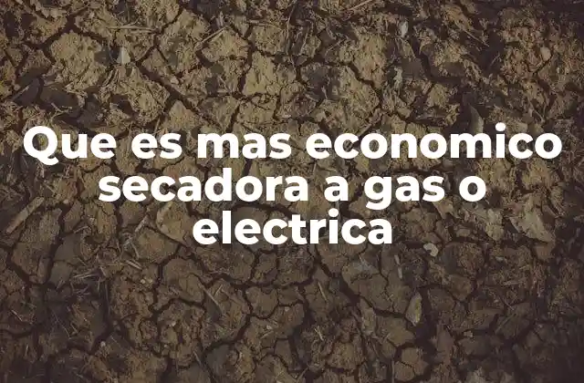 Que es mas Economico Secadora a Gas o Electrica