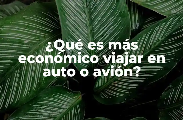 ¿qué es Más Económico Viajar en Auto o Avión?