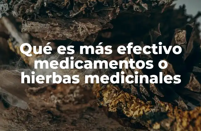 Qué es Más Efectivo Medicamentos o Hierbas Medicinales