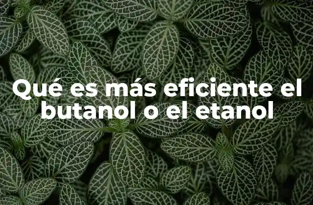Qué es Más Eficiente el Butanol o el Etanol
