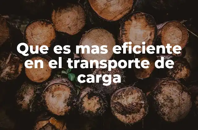 Factores que determinan la eficiencia logística en el transporte de mercancías