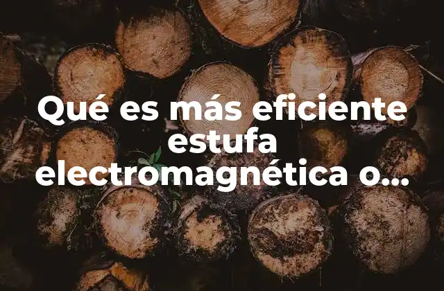 Qué es Más Eficiente Estufa Electromagnética o Estufa Normal