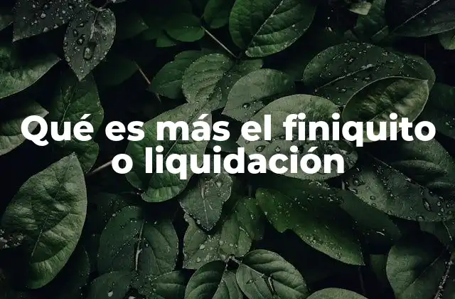 Qué es Más el Finiquito o Liquidación