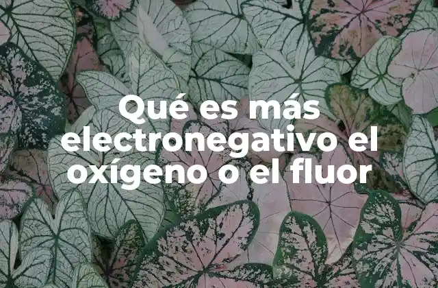 La importancia de la electronegatividad en los enlaces químicos