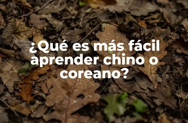 ¿qué es Más Fácil Aprender Chino o Coreano?