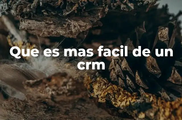 Que es mas Facil de un Crm