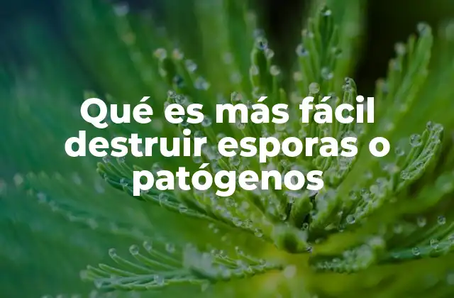 Qué es Más Fácil Destruir Esporas o Patógenos 2 La importancia de entender la resistencia microbiana
