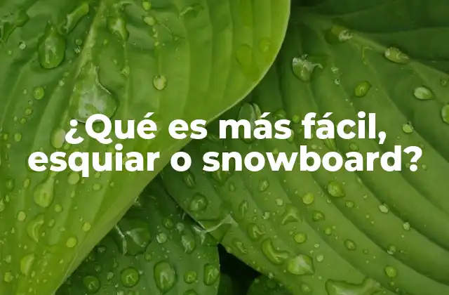 ¿qué es Más Fácil, Esquiar o Snowboard?