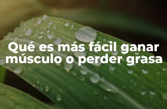 Qué es Más Fácil Ganar Músculo o Perder Grasa