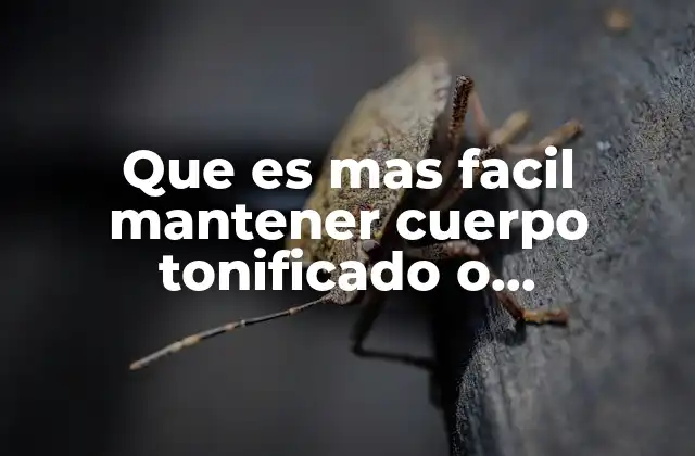 Que es mas Facil Mantener Cuerpo Tonificado o Musculado