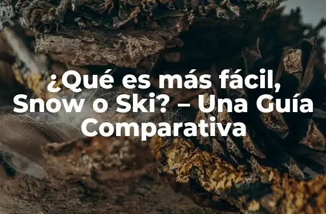 ¿qué es Más Fácil, Snow o Ski? – una Guía Comparativa