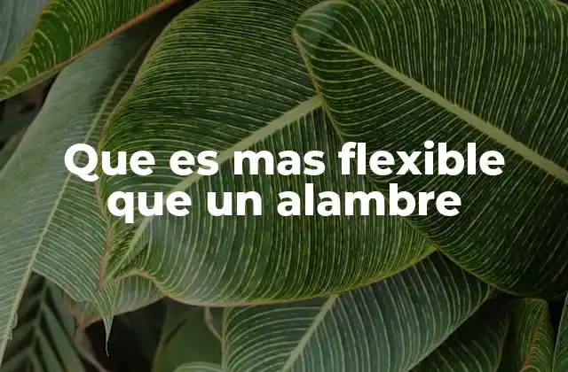 Que es mas Flexible que un Alambre