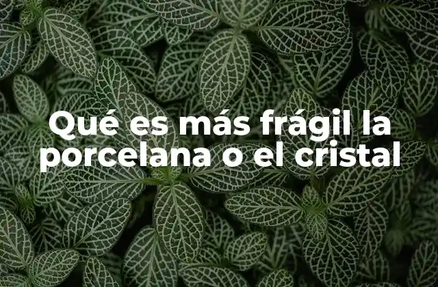 Diferencias estructurales entre porcelana y cristal