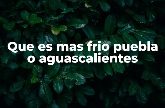 Que es mas Frio Puebla o Aguascalientes 2 Comparando el clima invernal de dos ciudades mexicanas