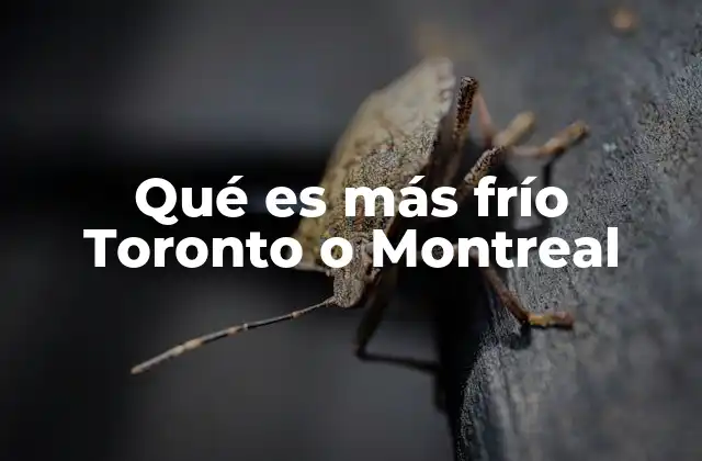 Qué es Más Frío Toronto o Montreal