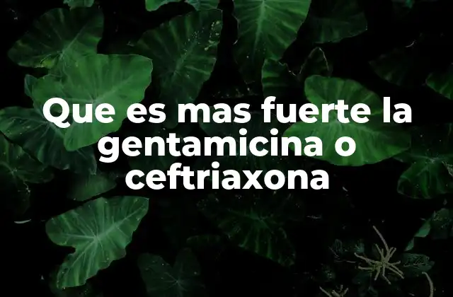 Que es mas Fuerte la Gentamicina o Ceftriaxona