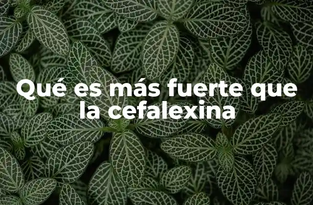 Qué es Más Fuerte que la Cefalexina