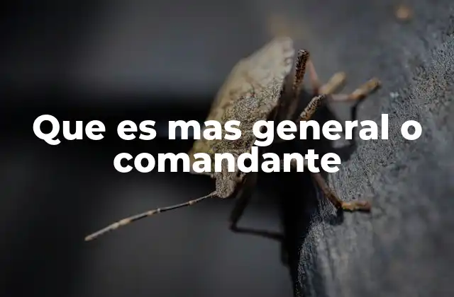 Que es mas General o Comandante