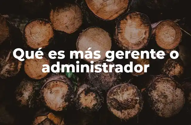 Qué es Más Gerente o Administrador