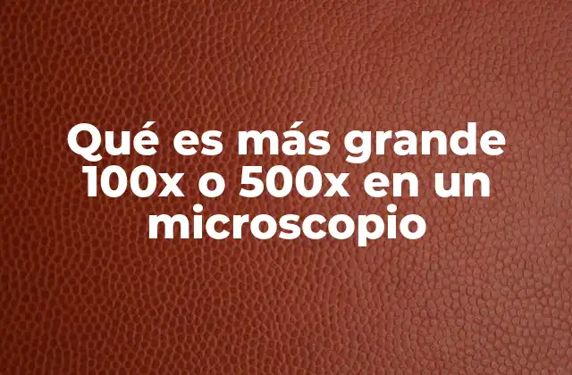 Qué es Más Grande 100x o 500x en un Microscopio