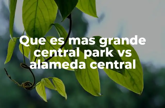 Que es mas Grande Central Park Vs Alameda Central 2 Espacios públicos urbanos: una comparación sin mencionar el tamaño