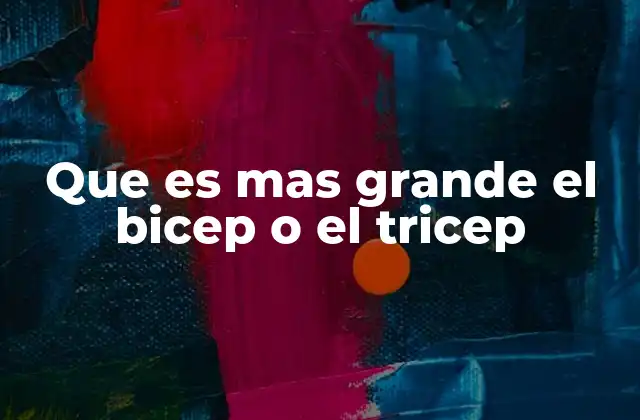 Que es mas Grande el Bicep o el Tricep