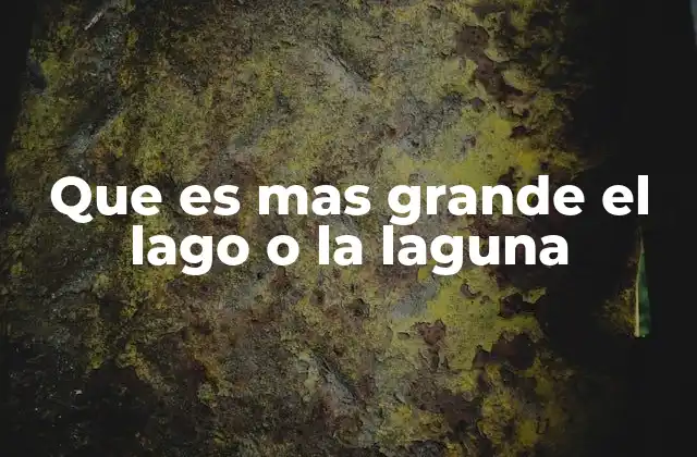 Que es mas Grande el Lago o la Laguna