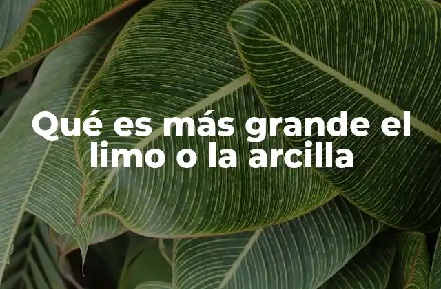 Qué es Más Grande el Limo o la Arcilla