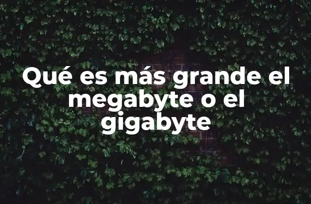 Qué es Más Grande el Megabyte o el Gigabyte