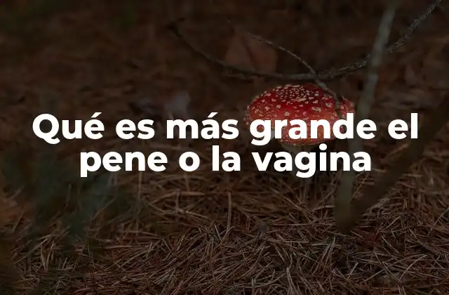 Qué es Más Grande el Pene o la Vagina