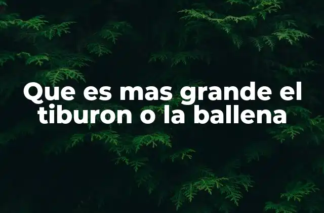 Que es mas Grande el Tiburon o la Ballena