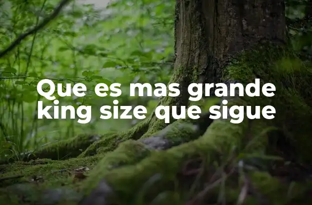 Que es mas Grande King Size que Sigue 2 El orden de los tamaños de camas y su uso en diferentes regiones