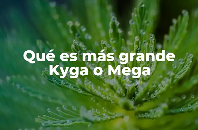 Kyoga y Mega en el universo Pokémon