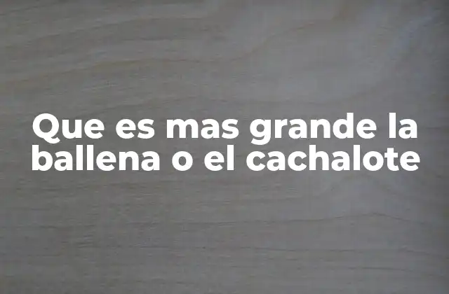 Que es mas Grande la Ballena o el Cachalote