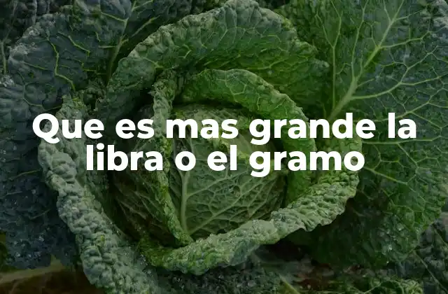 Que es mas Grande la Libra o el Gramo