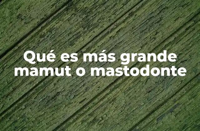 Qué es Más Grande Mamut o Mastodonte