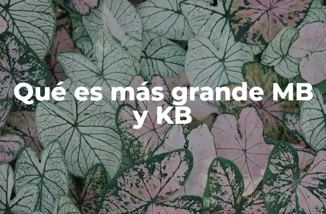 Qué es Más Grande Mb y Kb