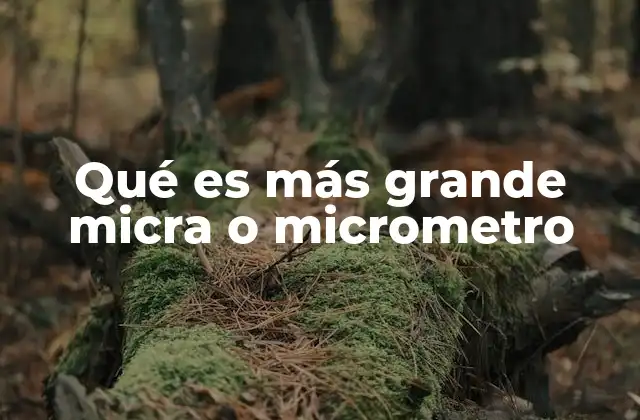Qué es Más Grande Micra o Micrometro