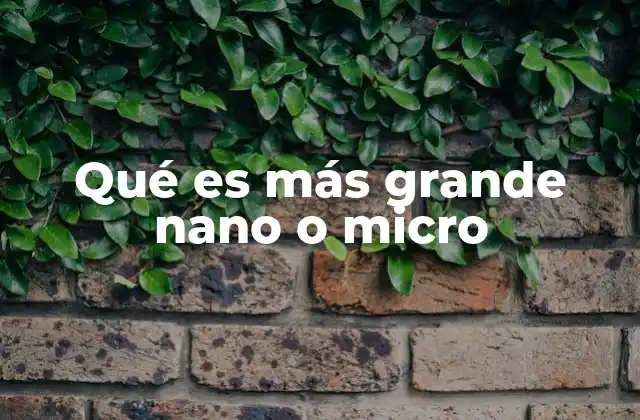 Qué es Más Grande Nano o Micro